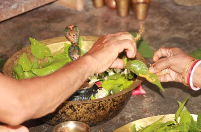 Kala Sarpa Dosha Puja