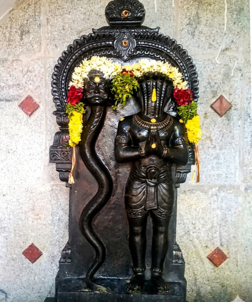 Rahu Ketu Shanti Puja