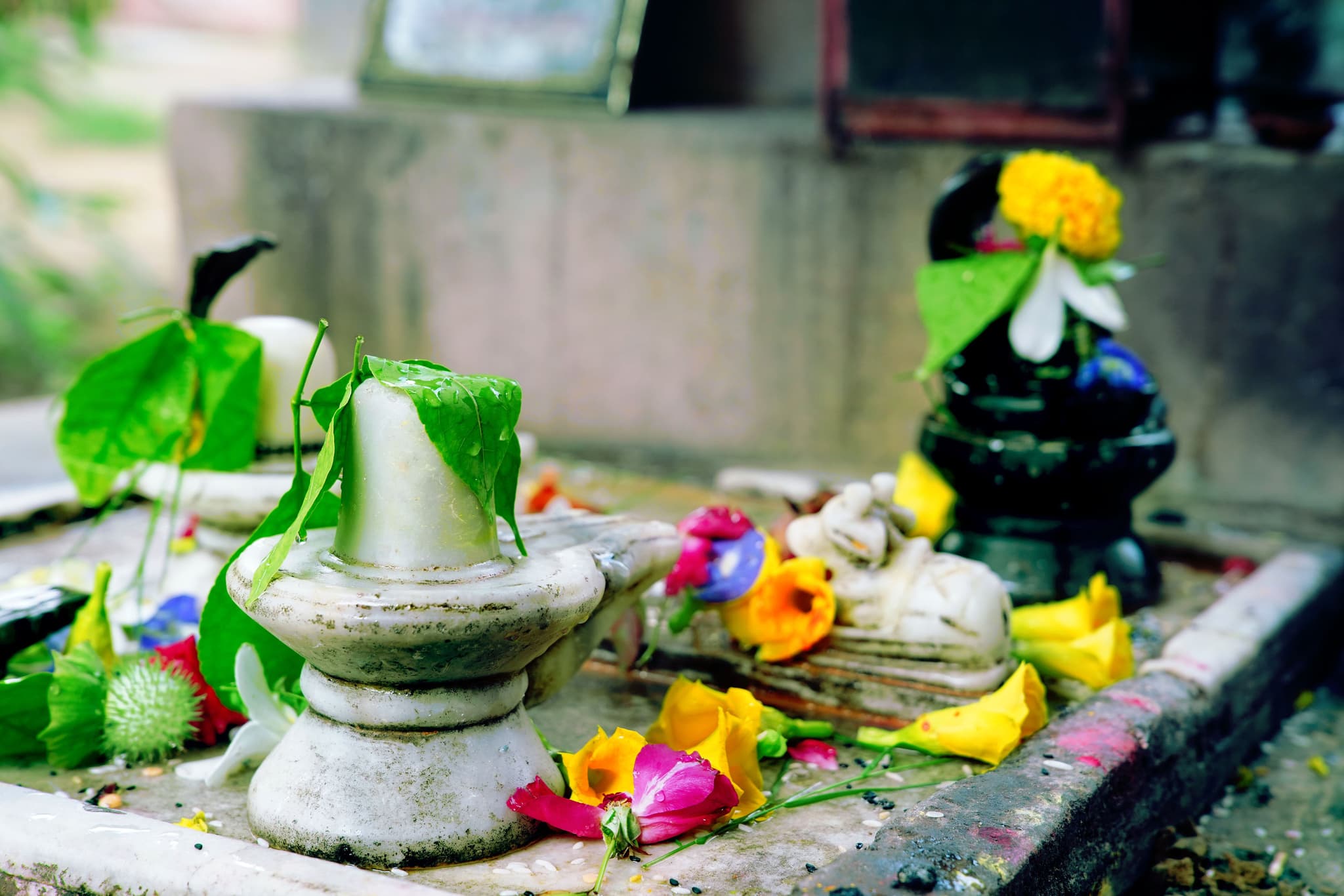 What Telugu Families Do — and Avoid — in Shravana Masam