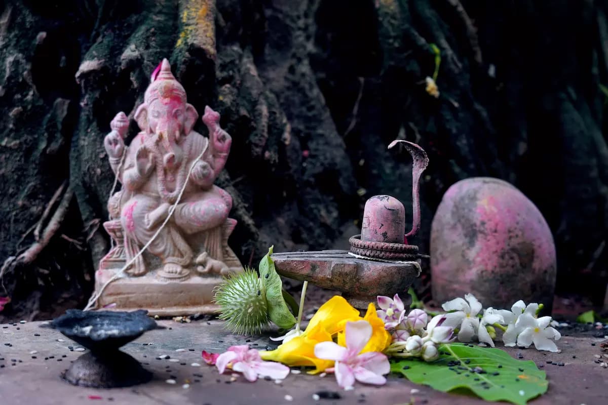 Nag Panchami 2026 Date and Timings